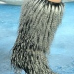 fur-flies-this-fall-3